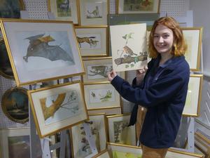 First time at auction for beautful wildlife illustrations